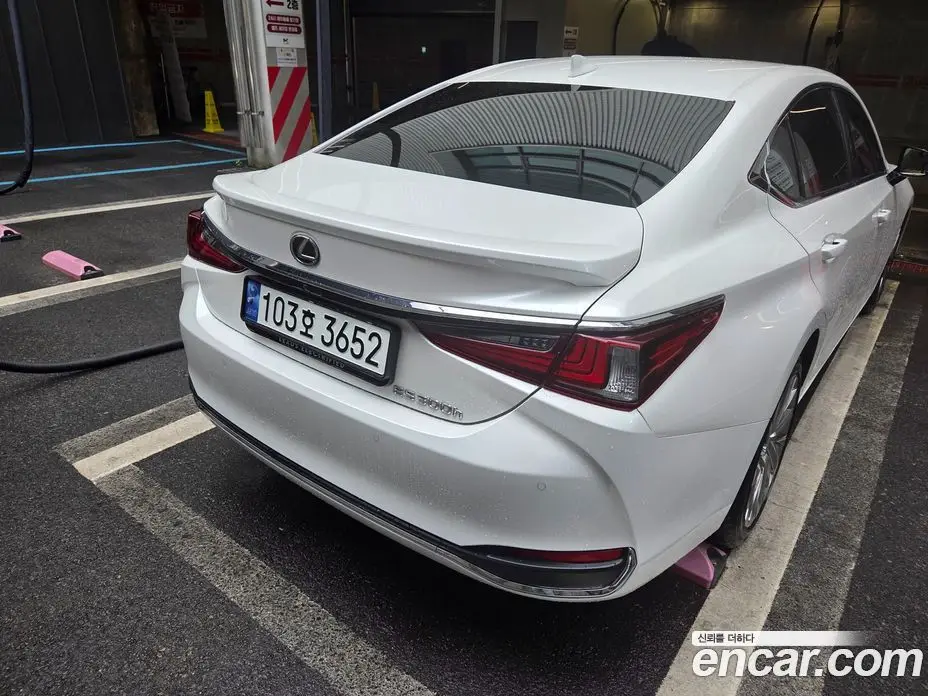 Lexus ES 2023 2.5 автомат (вариатор), фото 5 Lexus ES 2023 2.5 автомат (вариатор), фото 5