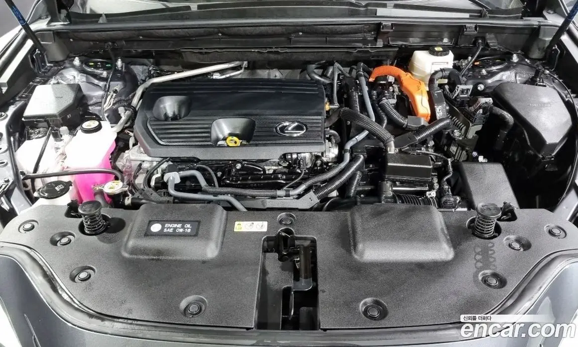 Lexus NX 2023 2.5 автомат (гидро), фото 6 Lexus NX 2023 2.5 автомат (гидро), фото 6