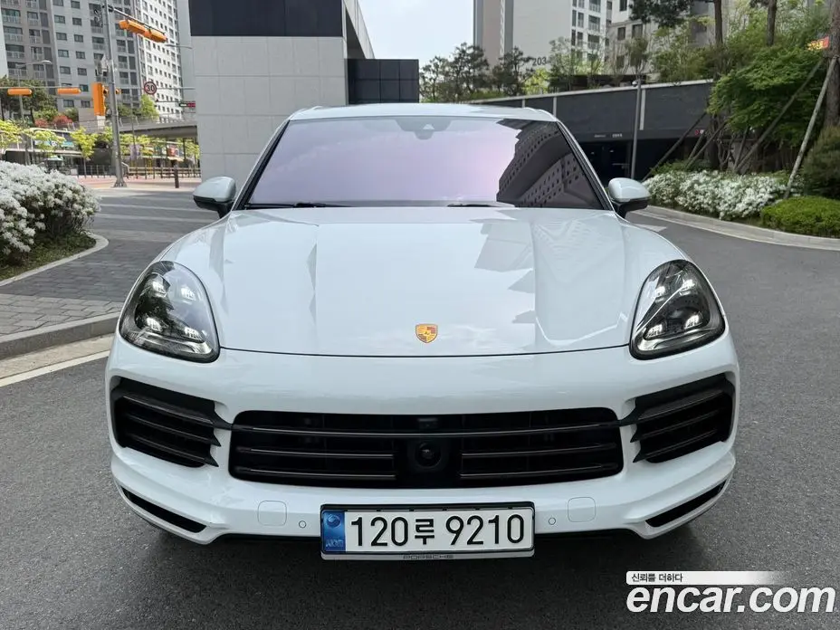 Porsche Cayenne 2023 3.0 автомат (гидро), фото 1 Porsche Cayenne 2023 3.0 автомат (гидро), фото 1