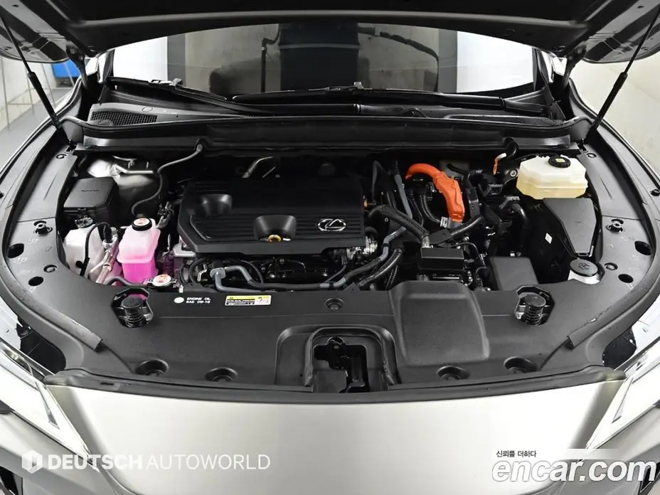 Lexus RX 2025 2.5 автомат (гидро), фото 6 Lexus RX 2025 2.5 автомат (гидро), фото 6