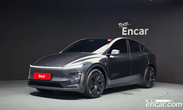 Tesla Model Y 2025 0.2 автомат (гидро), миниатюра 1 Tesla Model Y 2025 0.2 автомат (гидро), миниатюра 1