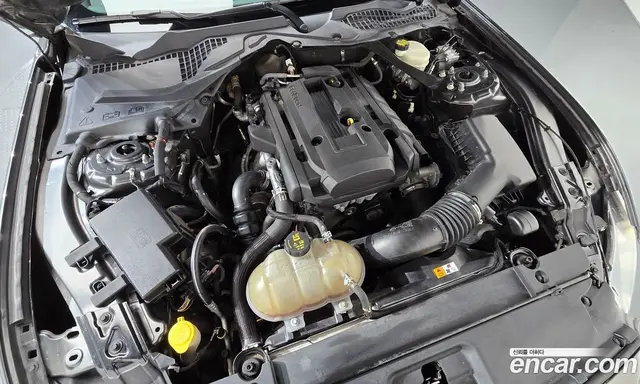 Ford Mustang 2017 2.3 автомат (гидро), миниатюра 6 Ford Mustang 2017 2.3 автомат (гидро), миниатюра 6