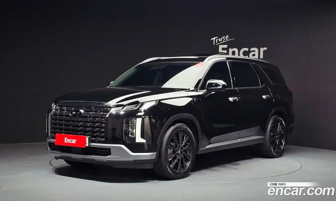 Hyundai Palisade 2024 3.8 автомат (гидро), фото 1 Hyundai Palisade 2024 3.8 автомат (гидро), фото 1
