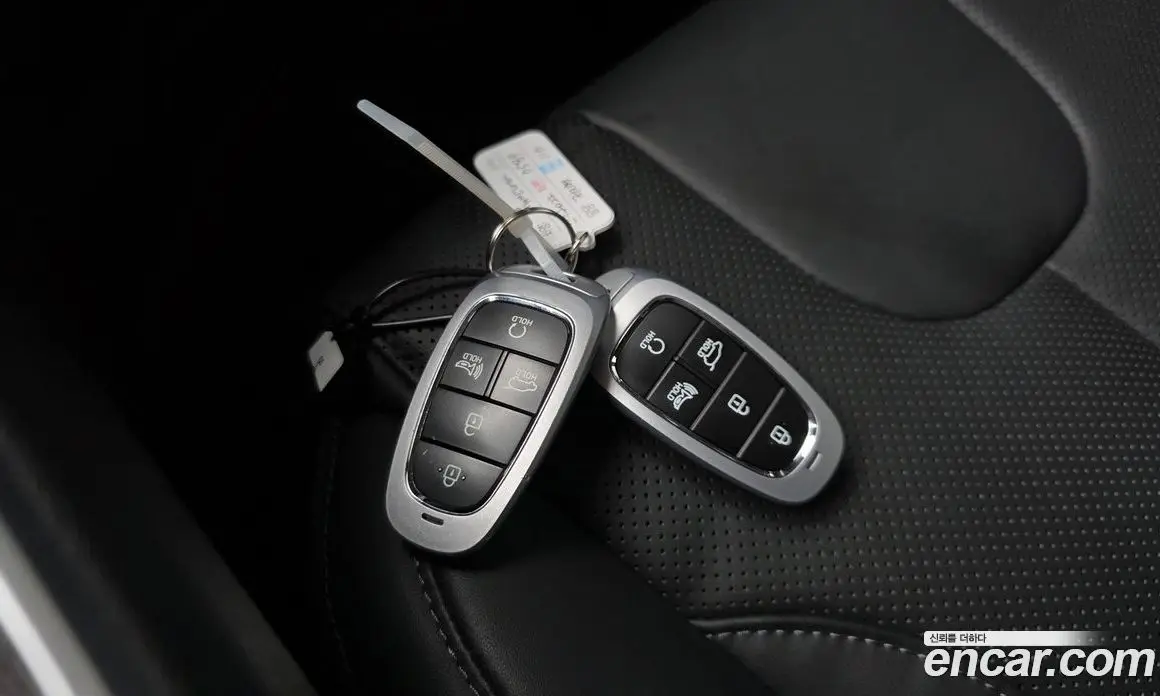 Hyundai Santa Fe 2022 2.2 автомат (гидро), фото 27
