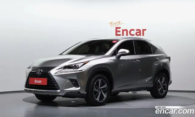 Lexus NX 2019 2.5 автомат (гидро), миниатюра 1 Lexus NX 2019 2.5 автомат (гидро), миниатюра 1
