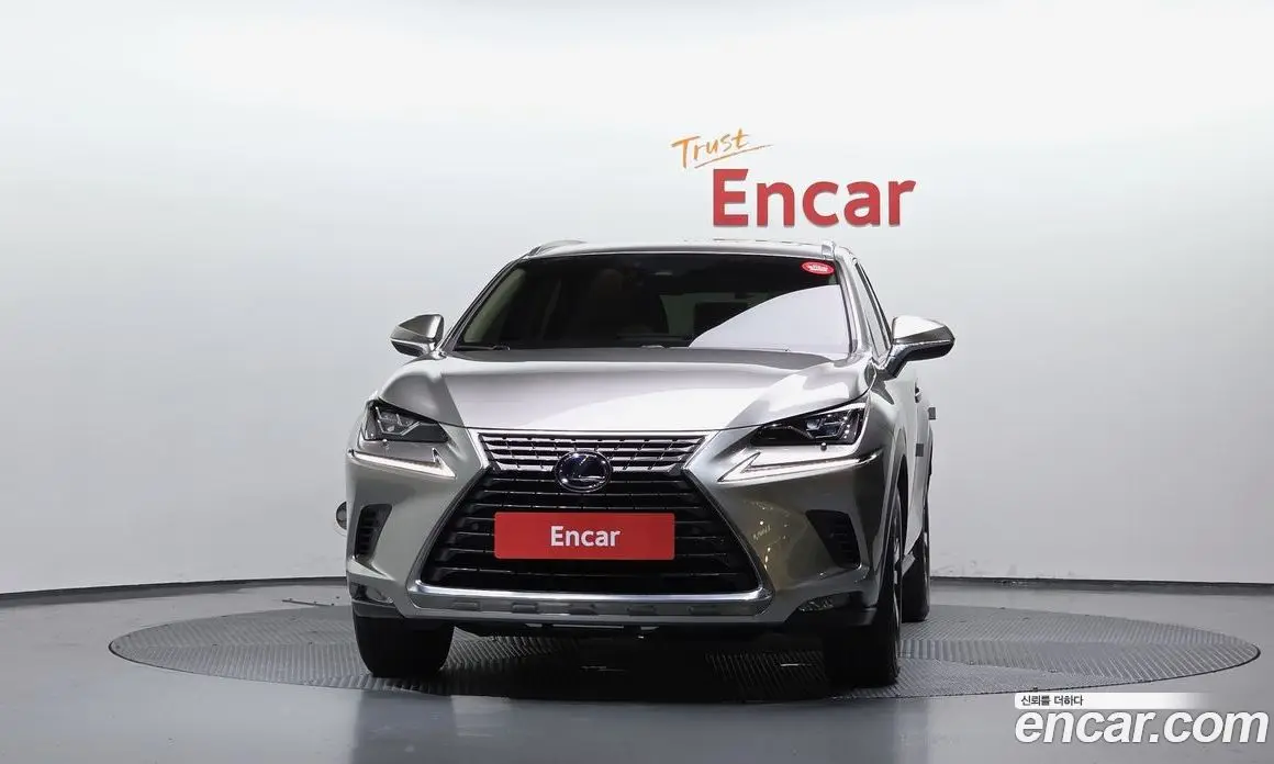 Lexus NX 2019 2.5 автомат (гидро), фото 3 Lexus NX 2019 2.5 автомат (гидро), фото 3