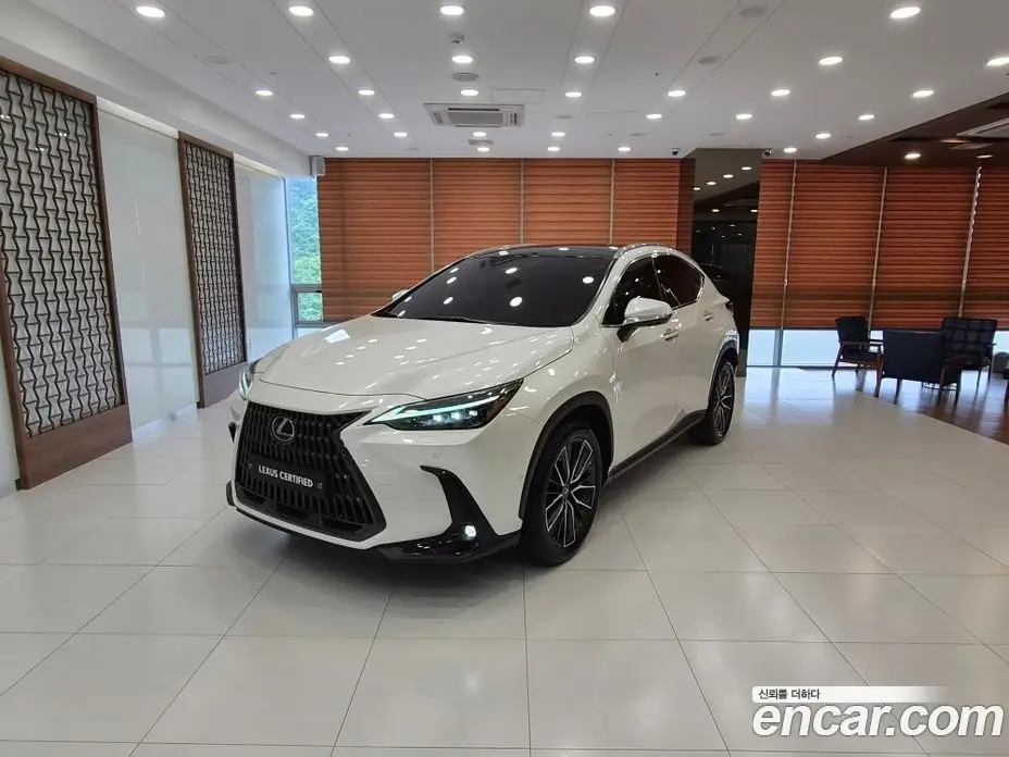 Lexus NX 2022 2.5 автомат (вариатор), фото 1 Lexus NX 2022 2.5 автомат (вариатор), фото 1