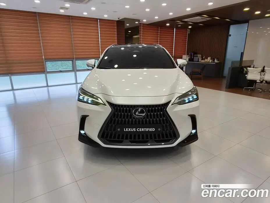 Lexus NX 2022 2.5 автомат (вариатор), фото 3 Lexus NX 2022 2.5 автомат (вариатор), фото 3