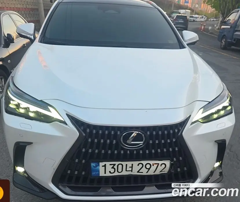 Lexus NX 2023 2.5 автомат (гидро), фото 1 Lexus NX 2023 2.5 автомат (гидро), фото 1