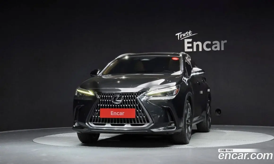 Lexus NX 2023 2.5 автомат (гидро), фото 3 Lexus NX 2023 2.5 автомат (гидро), фото 3