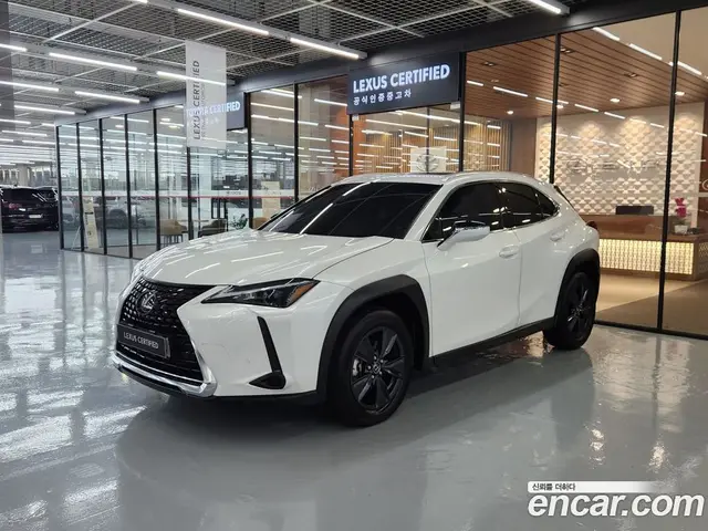 Lexus UX, 2023, 6 273 км