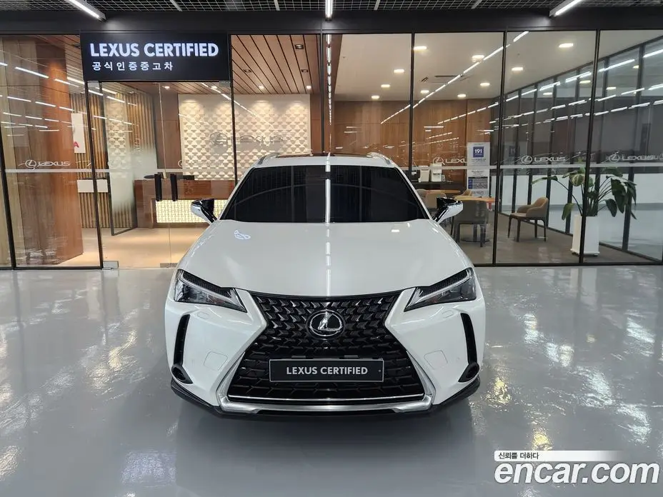 Lexus UX 2023 2.0 автомат (вариатор), фото 3 Lexus UX 2023 2.0 автомат (вариатор), фото 3