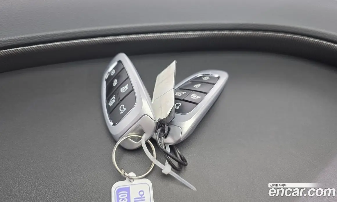Hyundai Santa Fe 2022 2.2 автомат (гидро), фото 22
