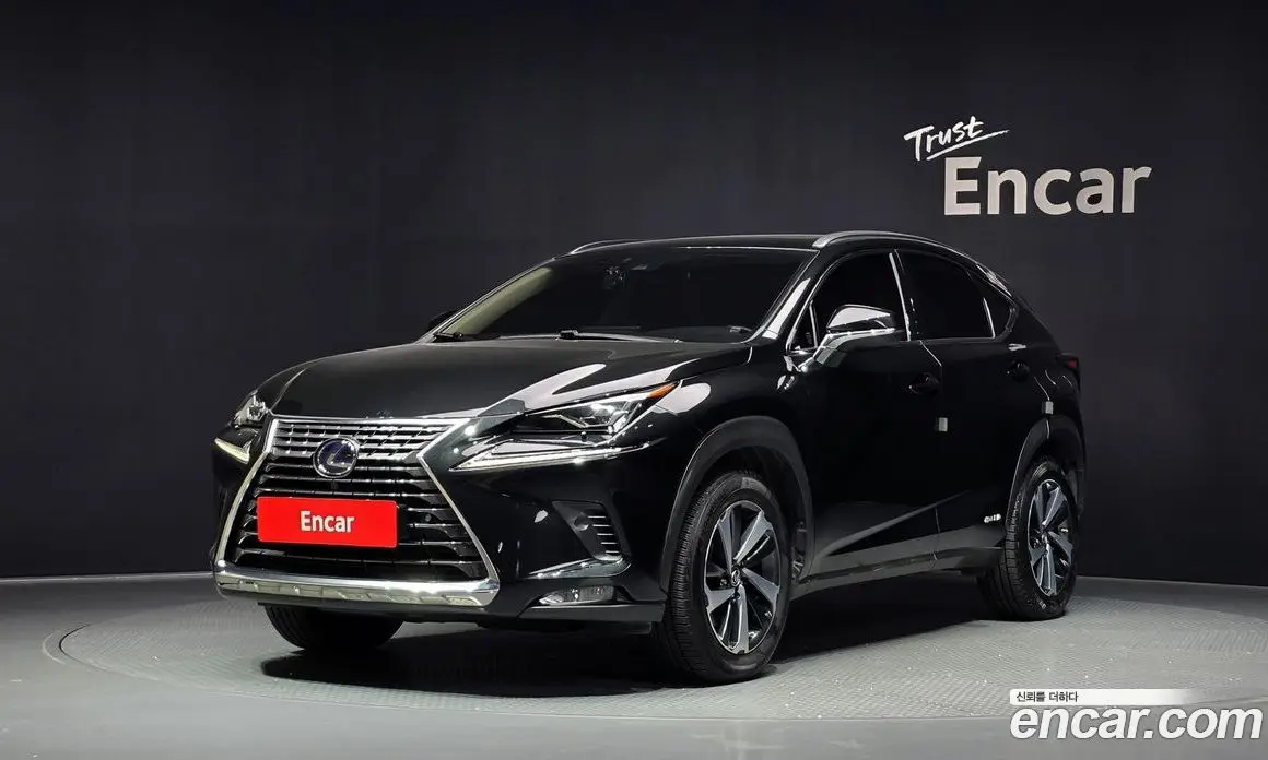 Lexus NX 2020 2.5 автомат (гидро), фото 1 Lexus NX 2020 2.5 автомат (гидро), фото 1