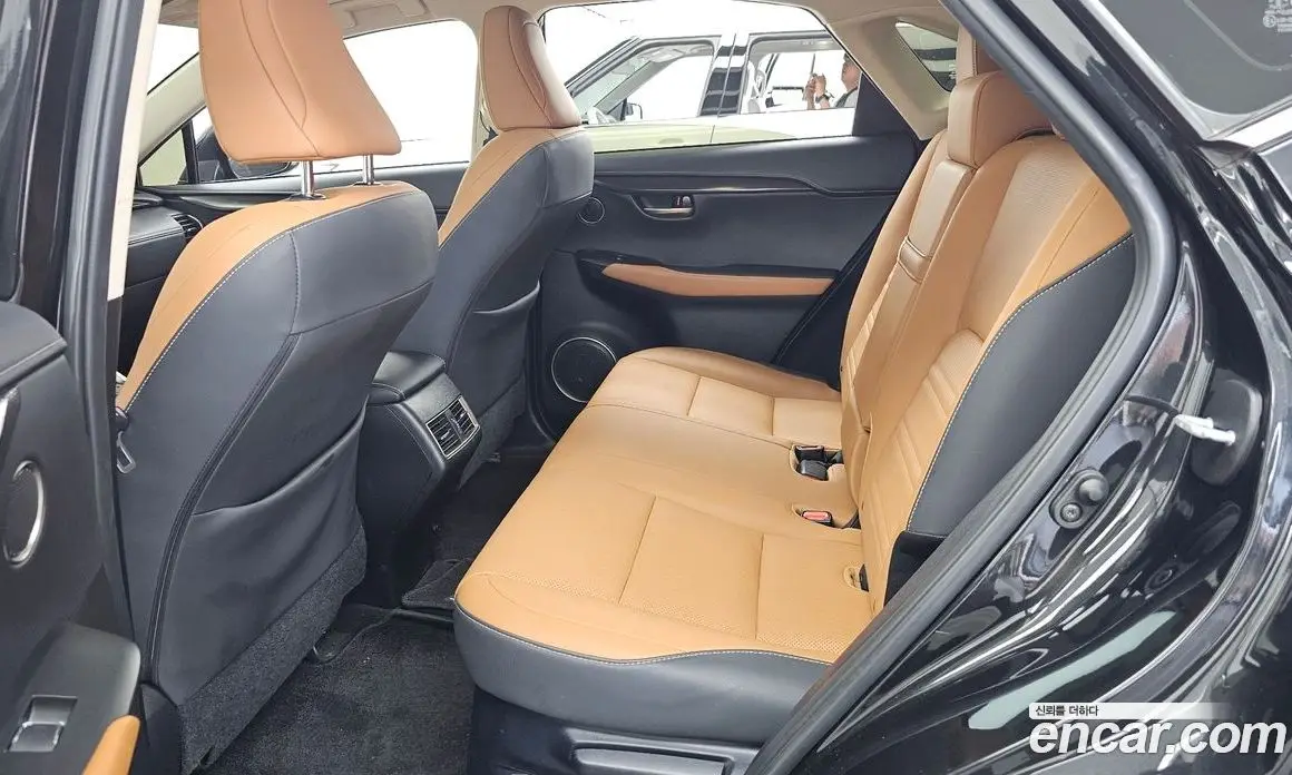 Lexus NX 2020 2.5 автомат (гидро), фото 16 Lexus NX 2020 2.5 автомат (гидро), фото 16