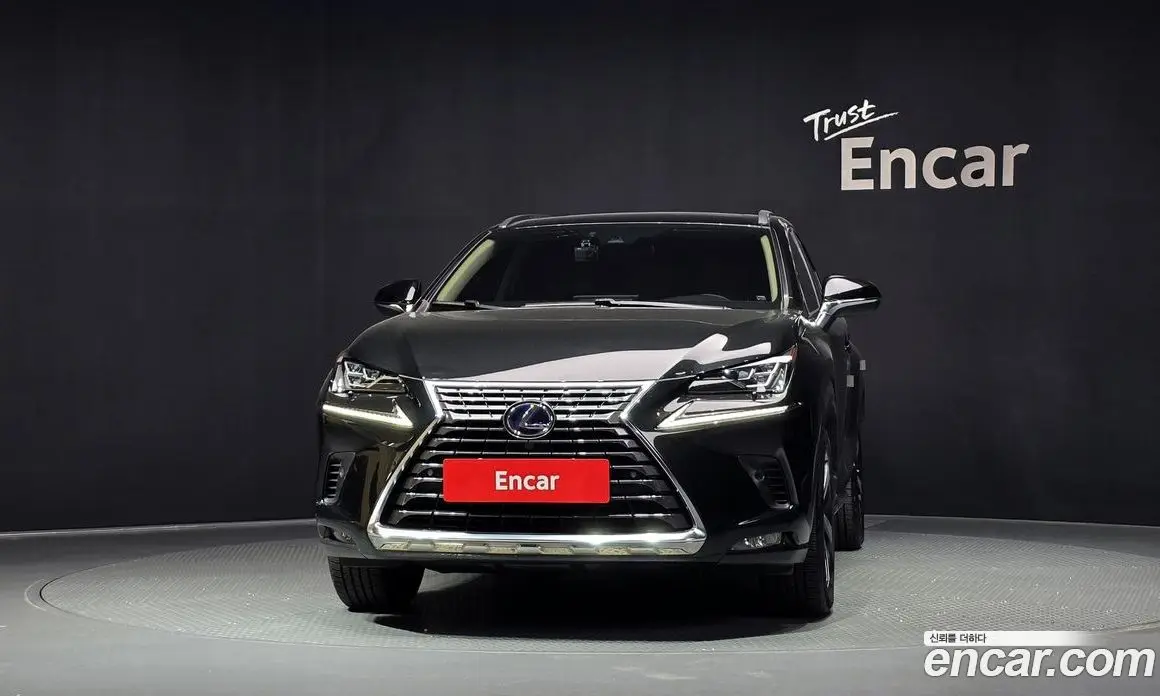 Lexus NX 2020 2.5 автомат (гидро), фото 3 Lexus NX 2020 2.5 автомат (гидро), фото 3