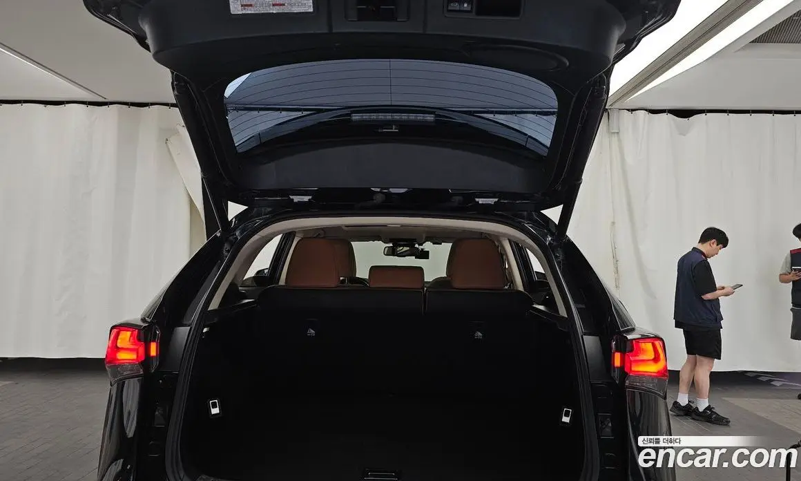 Lexus NX 2020 2.5 автомат (гидро), фото 28 Lexus NX 2020 2.5 автомат (гидро), фото 28
