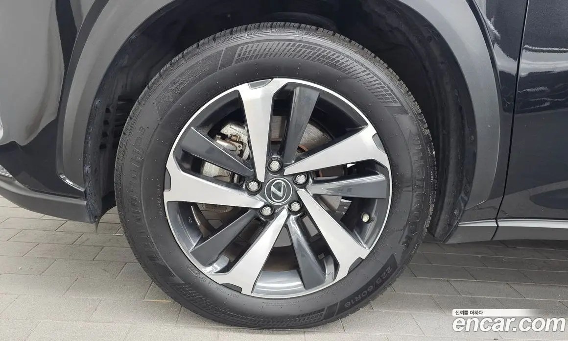 Lexus NX 2020 2.5 автомат (гидро), фото 5 Lexus NX 2020 2.5 автомат (гидро), фото 5