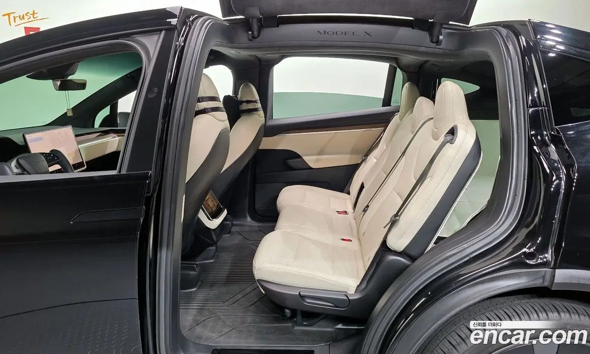 Tesla Model X 2023 0.2 автомат (гидро), фото 11 Tesla Model X 2023 0.2 автомат (гидро), фото 11