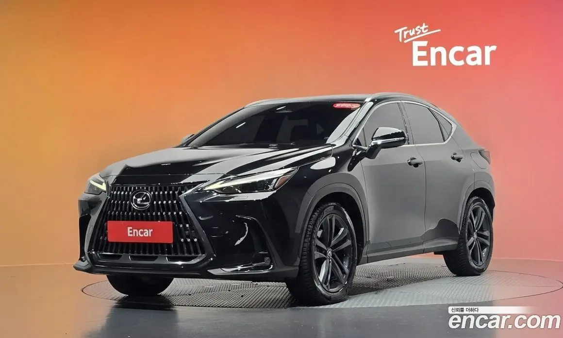 Lexus NX 2023 2.5 автомат (гидро), фото 31