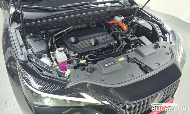 Lexus NX 2023 2.5 автомат (гидро), миниатюра 5