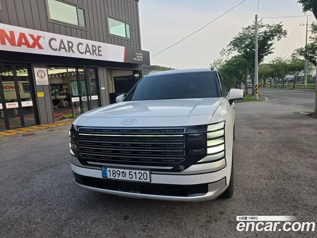 Hyundai Palisade, 2025, 13 000 км