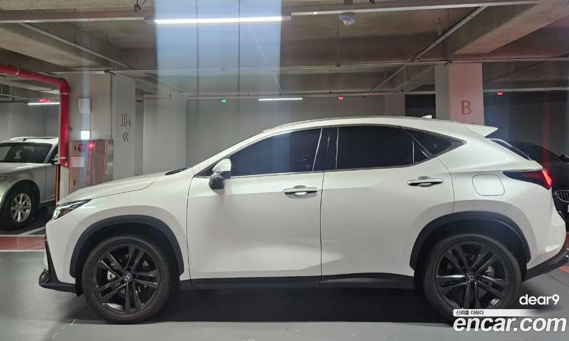 Lexus NX 2025 2.5 автомат (гидро), фото 1 Lexus NX 2025 2.5 автомат (гидро), фото 1
