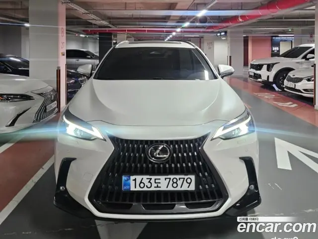 Lexus NX 2025 2.5 автомат (гидро), миниатюра 2 Lexus NX 2025 2.5 автомат (гидро), миниатюра 2