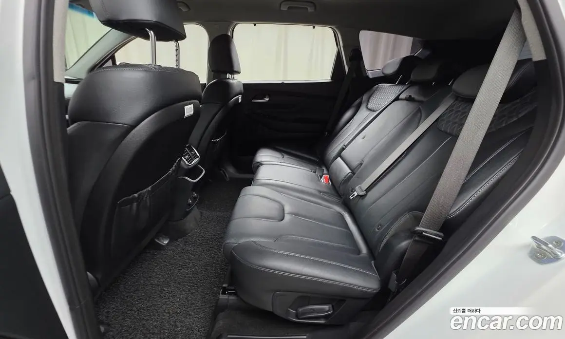 Hyundai Santa Fe 2020 2.0 автомат (гидро), фото 17 Hyundai Santa Fe 2020 2.0 автомат (гидро), фото 17