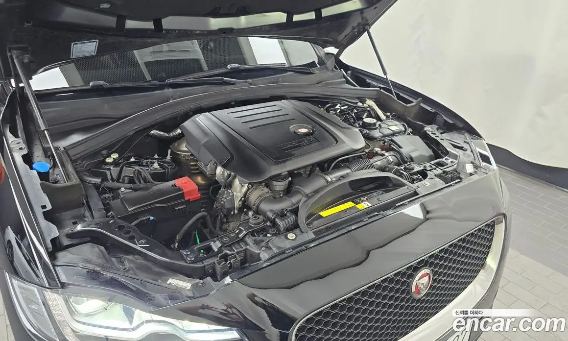 Jaguar F-Pace 2020 2.0 автомат (гидро), фото 6 Jaguar F-Pace 2020 2.0 автомат (гидро), фото 6