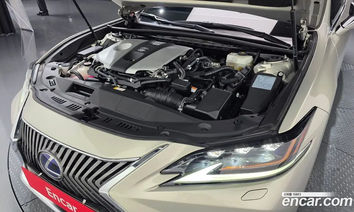 Lexus ES 2019 2.5 автомат (гидро), фото 5 Lexus ES 2019 2.5 автомат (гидро), фото 5