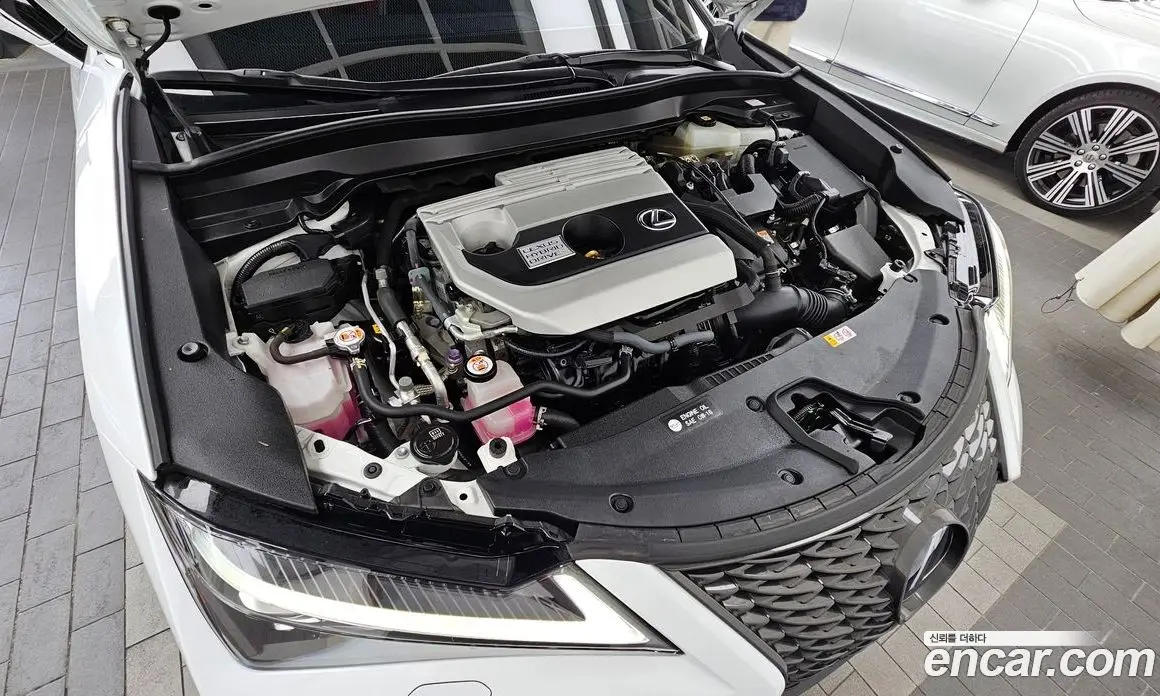 Lexus UX 2021 2.0 автомат (гидро), фото 6 Lexus UX 2021 2.0 автомат (гидро), фото 6