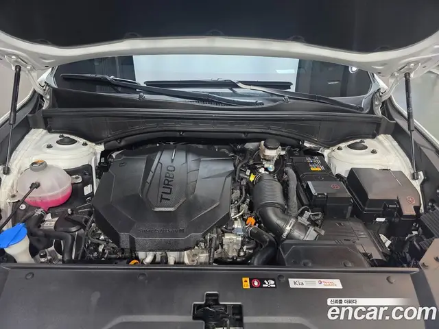 Kia Sorento 2023 2.2 автомат (гидро), миниатюра 6 Kia Sorento 2023 2.2 автомат (гидро), миниатюра 6