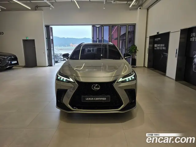 Lexus NX 2025 2.5 автомат (вариатор), миниатюра 3 Lexus NX 2025 2.5 автомат (вариатор), миниатюра 3
