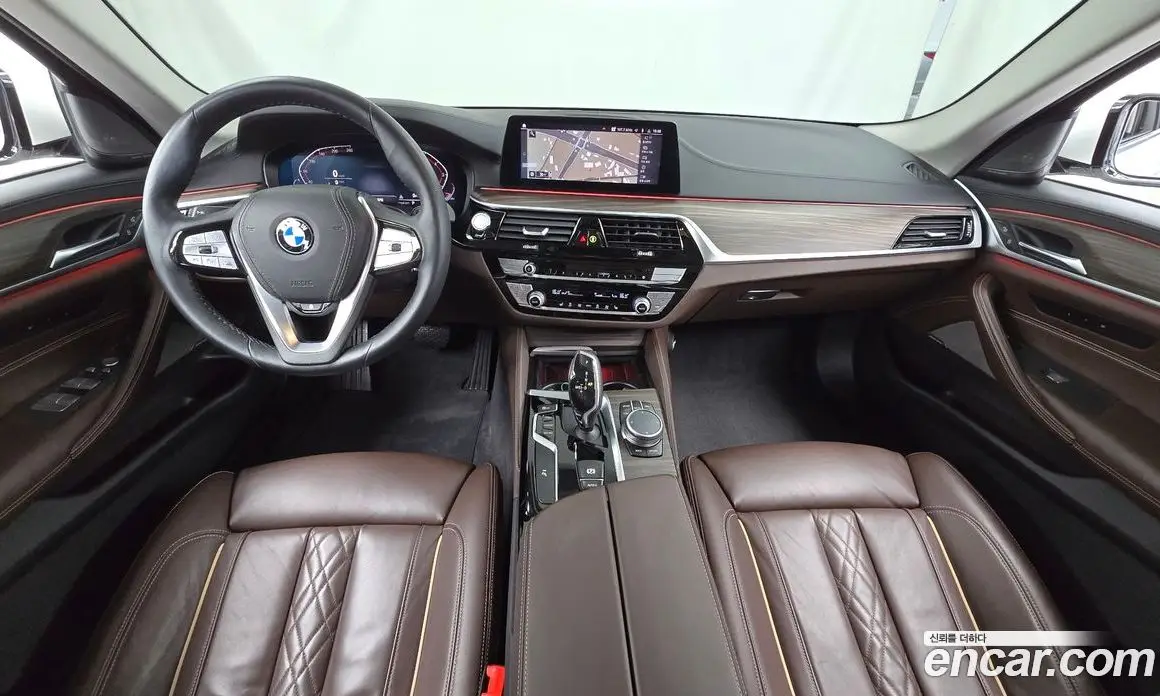BMW 5 серия 2020 2.0 автомат (гидро), фото 10