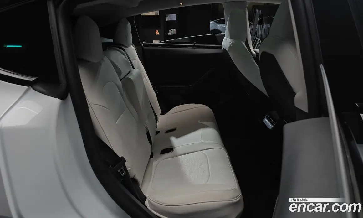 Tesla Model Y 2023 0.2 автомат (гидро), фото 18