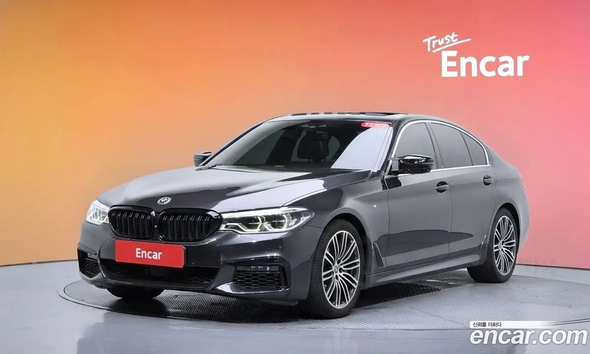 BMW 5 серия 2019 2.0 автомат (гидро), фото 34