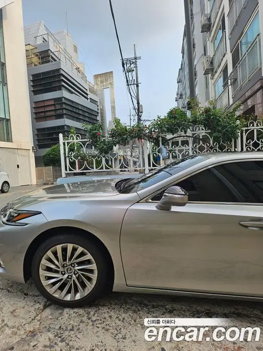 Lexus ES 2022 2.5 автомат (гидро), фото 1 Lexus ES 2022 2.5 автомат (гидро), фото 1