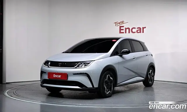 BYD Dolphin 2026 0.1 автомат (гидро), миниатюра 1 BYD Dolphin 2026 0.1 автомат (гидро), миниатюра 1