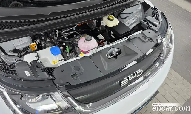 BYD Dolphin 2026 0.1 автомат (гидро), миниатюра 6 BYD Dolphin 2026 0.1 автомат (гидро), миниатюра 6