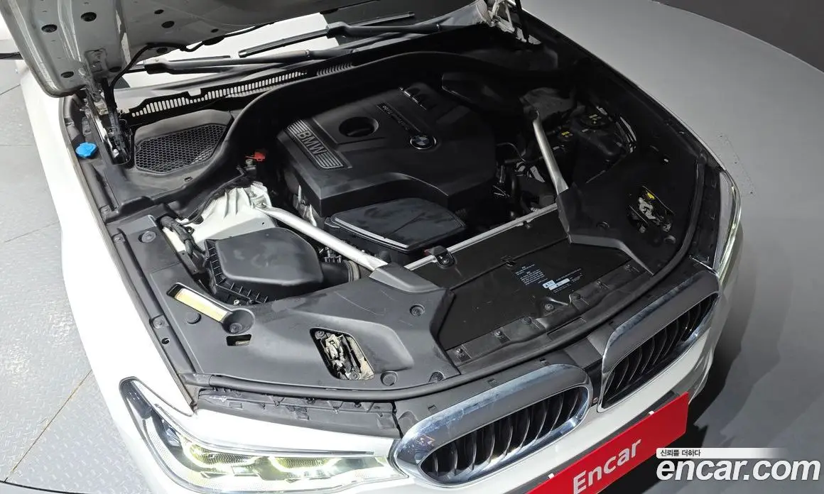 BMW 5 серия 2019 2.0 автомат (гидро), фото 6 BMW 5 серия 2019 2.0 автомат (гидро), фото 6