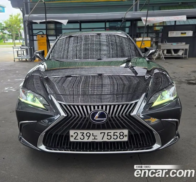 Lexus ES 2019 2.5 автомат (гидро), фото 1 Lexus ES 2019 2.5 автомат (гидро), фото 1