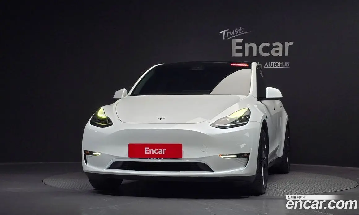 Tesla Model Y 2021 0.2 автомат (гидро), фото 2 Tesla Model Y 2021 0.2 автомат (гидро), фото 2