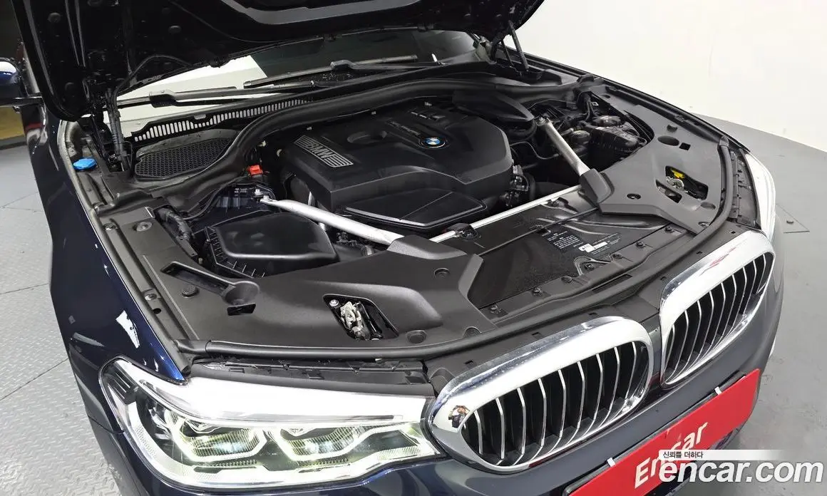 BMW 5 серия 2019 2.0 автомат (гидро), фото 6 BMW 5 серия 2019 2.0 автомат (гидро), фото 6