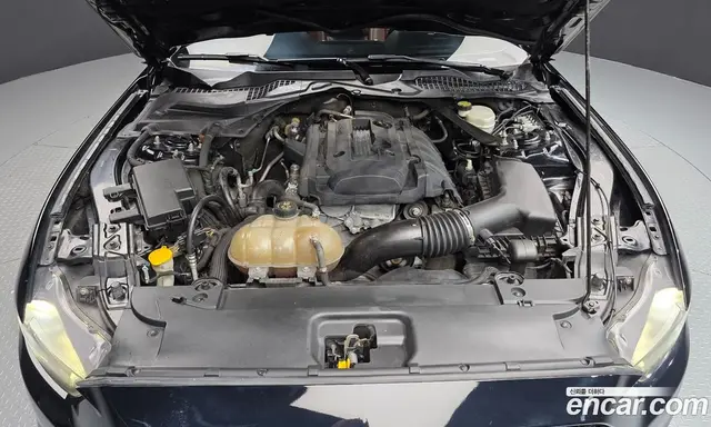 Ford Mustang 2016 2.3 автомат (гидро), миниатюра 6 Ford Mustang 2016 2.3 автомат (гидро), миниатюра 6