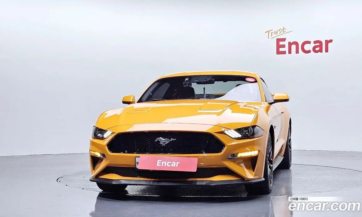 Ford Mustang 2019 5.0 автомат (гидро), фото 3 Ford Mustang 2019 5.0 автомат (гидро), фото 3