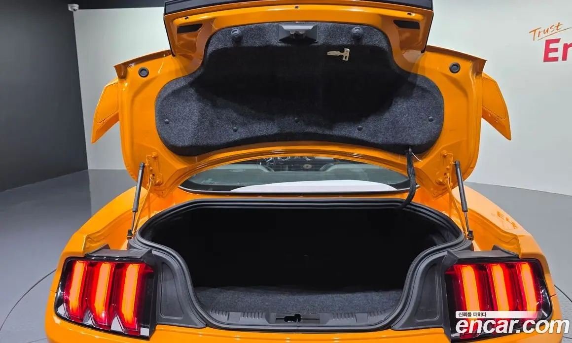 Ford Mustang 2019 5.0 автомат (гидро), фото 32 Ford Mustang 2019 5.0 автомат (гидро), фото 32