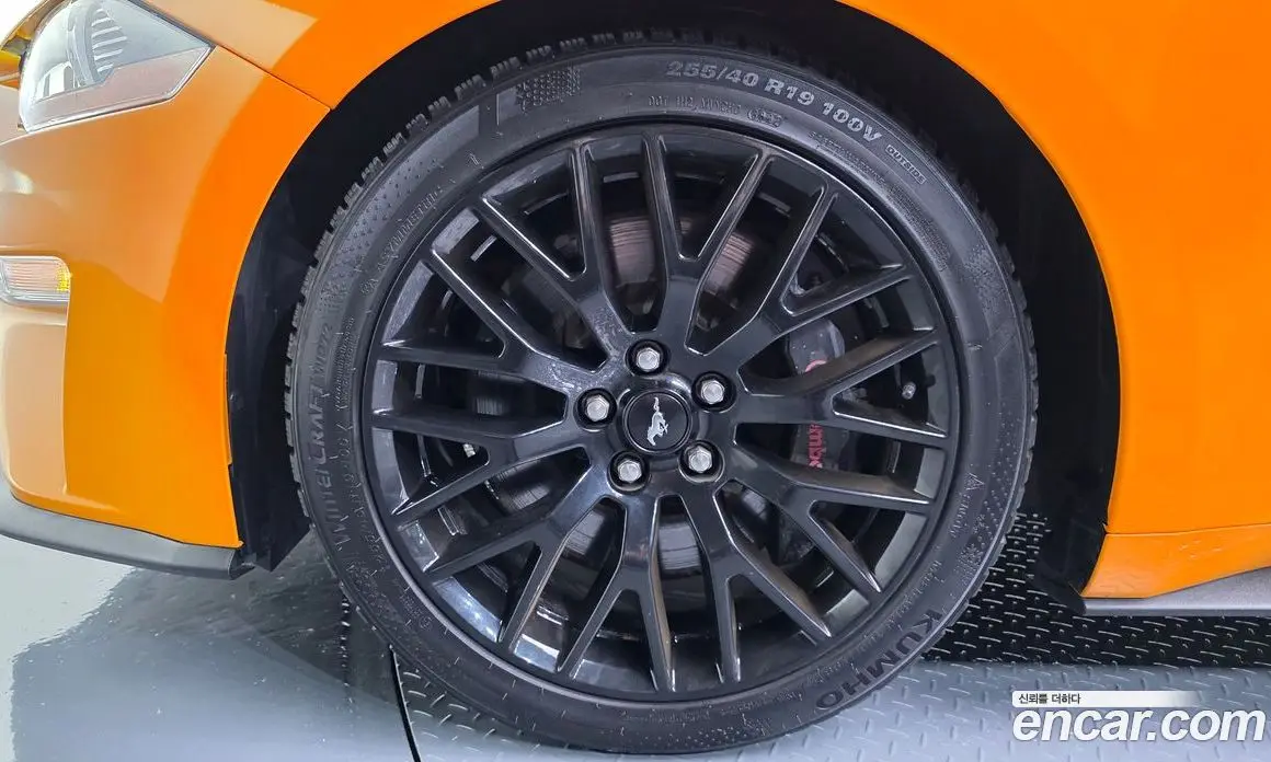 Ford Mustang 2019 5.0 автомат (гидро), фото 5 Ford Mustang 2019 5.0 автомат (гидро), фото 5