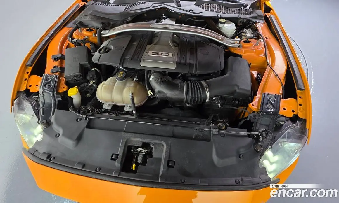 Ford Mustang 2019 5.0 автомат (гидро), фото 6 Ford Mustang 2019 5.0 автомат (гидро), фото 6