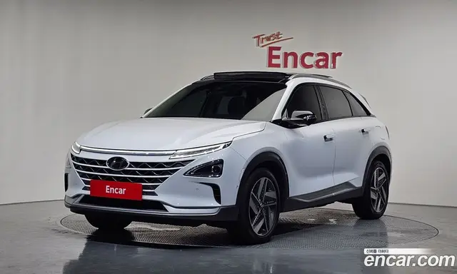 Hyundai Nexo, 2022, 33 920 км
